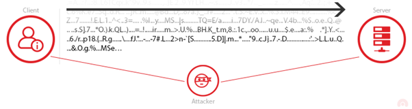 Encrypted TLS Traffic